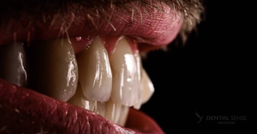 DSM_Metamorfoza_009_IMG_05