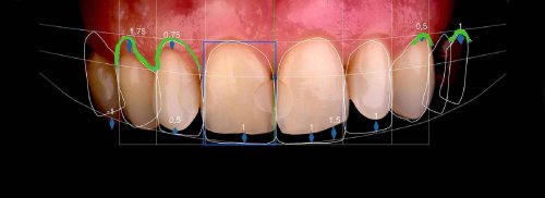 DSM_Metamorfoza_009_IMG_07