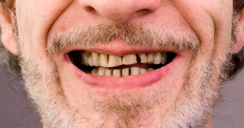 DSM_Metamorfoza_014_IMG_05