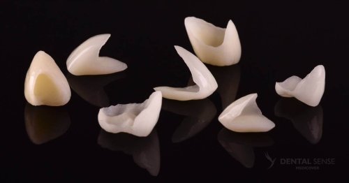 DSM_Metamorfoza_063_IMG_11