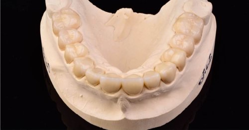 DSM_Metamorfoza_105_IMG_13