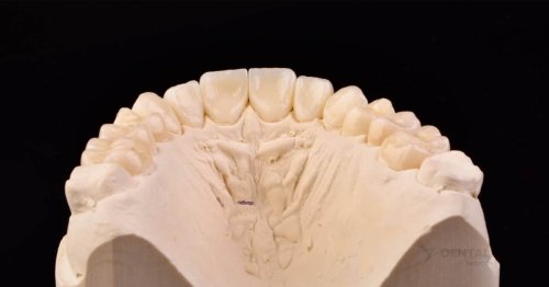 DSM_Metamorfoza_105_IMG_14